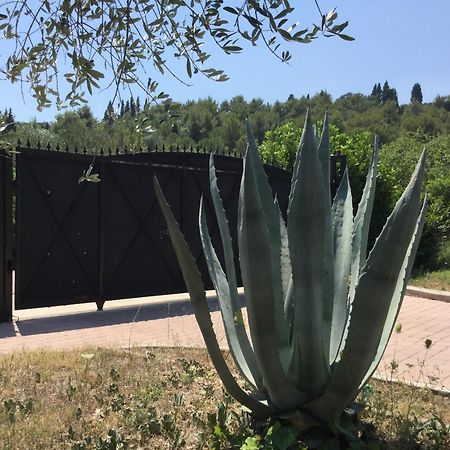 Villa Pax Maris Klek Esterno foto
