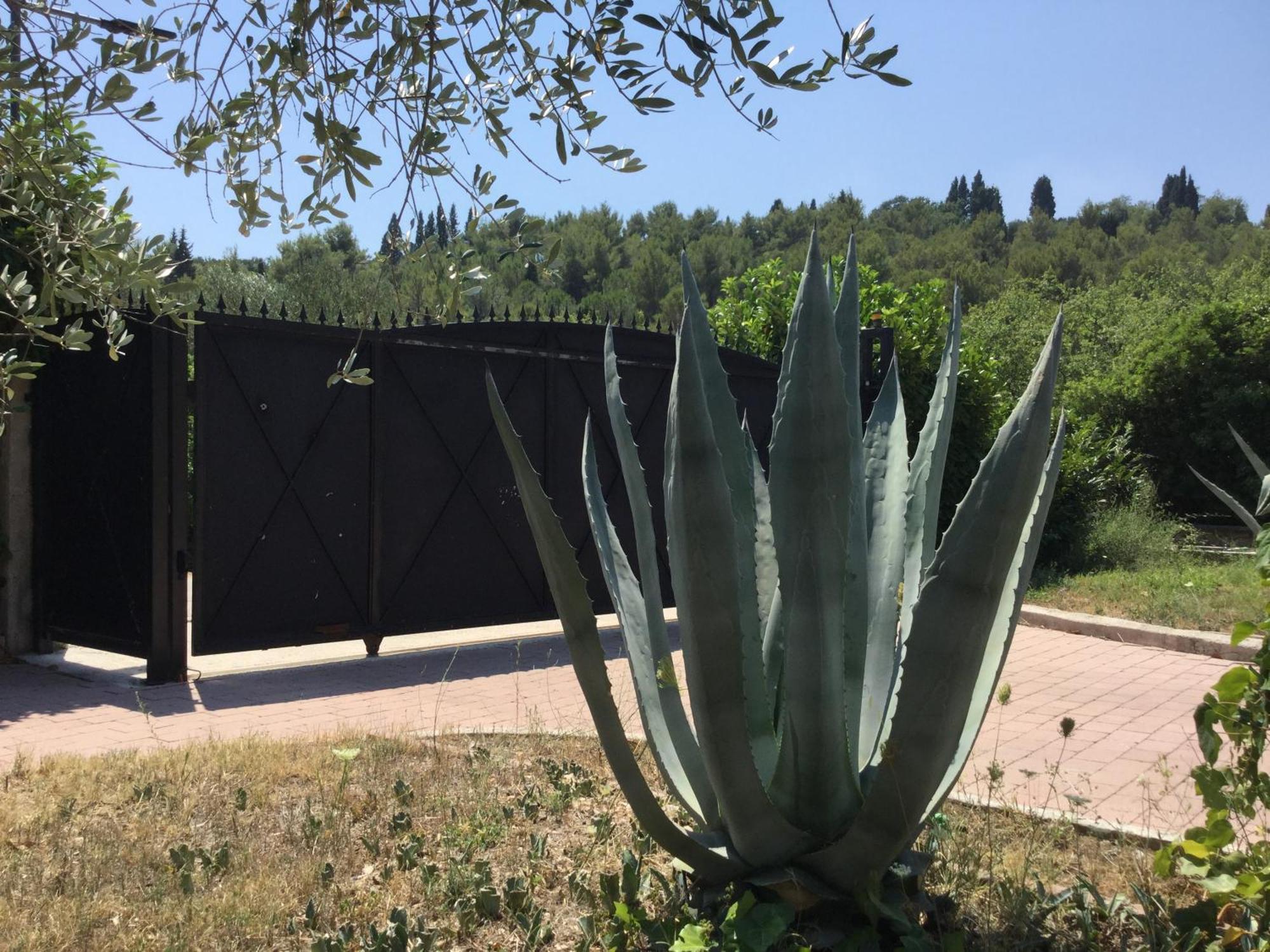 Villa Pax Maris Klek Esterno foto